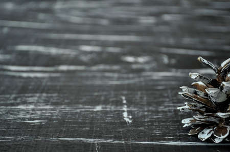Composition of fir cones on the table. の写真素材