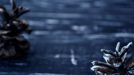 Composition of fir cones on the table. の写真素材