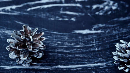 Composition of fir cones on the table. の写真素材