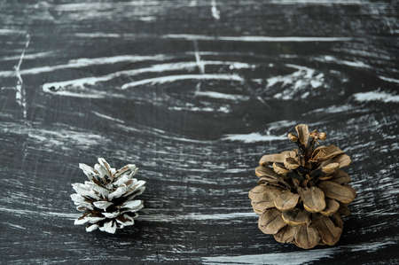 Composition of fir cones on the table. Natural background of natの写真素材
