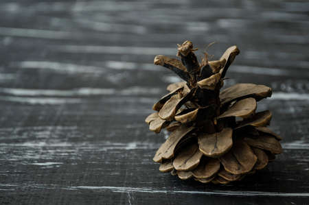 Composition of fir cones on the table. Natural background of natの写真素材