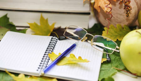 Autumn leaves and tea on a plaidの写真素材