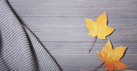 Autumn knitted sweaters and leavesの写真素材