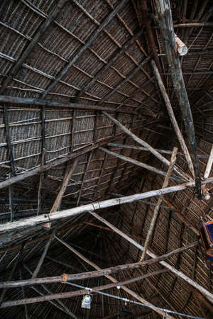 Holiday homes with palm trees in the tropics.の写真素材