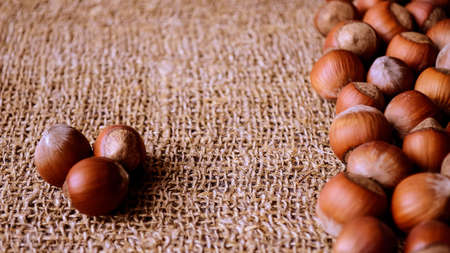 Hazelnuts and nuts lying the table. Healthy snack food. Dessertの写真素材