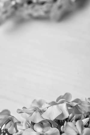 Flowers on a wooden tableの写真素材