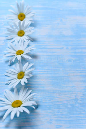 The flowers are daisies on the tableの写真素材