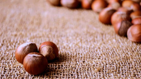 Hazelnuts and nuts lying the table. Healthy snack food.の写真素材
