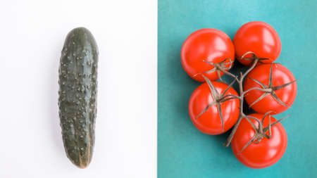 Background of natural products: vegetables, mushrooms and herbの写真素材