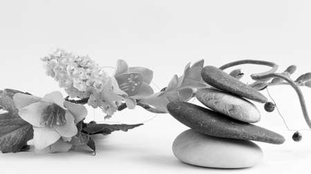 Balance of stones. Stones for spa treatments on a white backgrouの写真素材