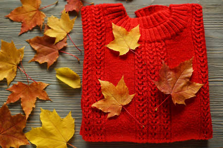Autumn accessories knitted sweaters and leavesの写真素材