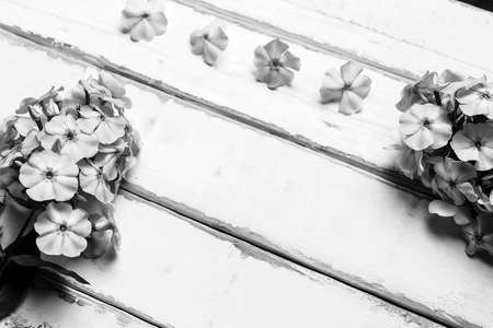 Frame of flowers on the tableの写真素材