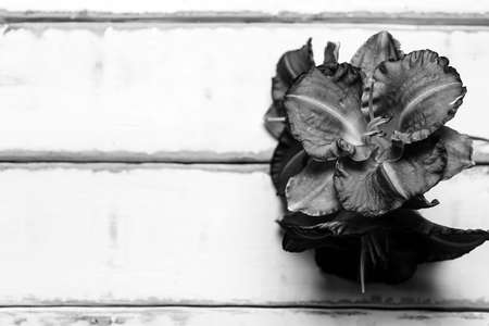 Flowers on a wooden tableの写真素材