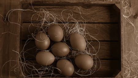 Eggs in the village on the table. The farms products. Fresh fooの写真素材