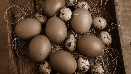 Eggs in the village on the table. The farms products. Fresh fooの写真素材