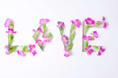 The inscription love of flowersの写真素材