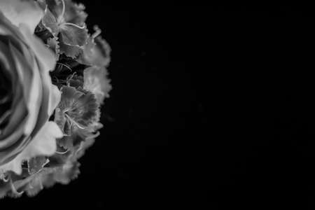 Composition of flowers in neon lightの写真素材