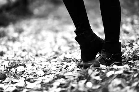 Boots for a walk in the Park. Autumn forest is beautiful. Yellowの写真素材