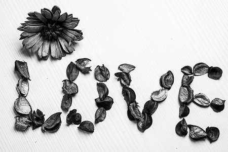 The frame of dried flowers. Decorated with dried flowers. Vase pの写真素材