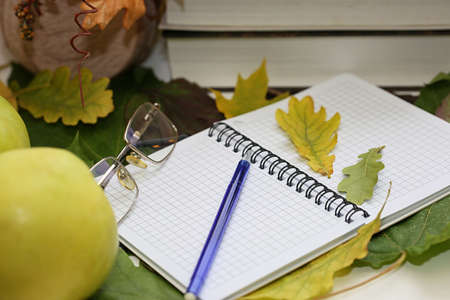 Autumn leaves on a plaid and various objectsの写真素材