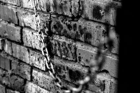 The texture of the metal doorsの写真素材