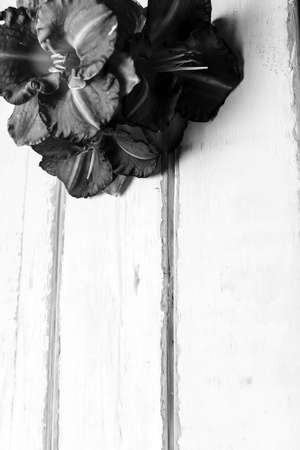 Flowers on a wooden tableの写真素材