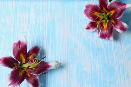 Lilies on the tableの写真素材