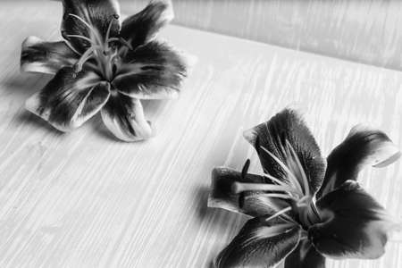 large lilies on a wooden tableの写真素材