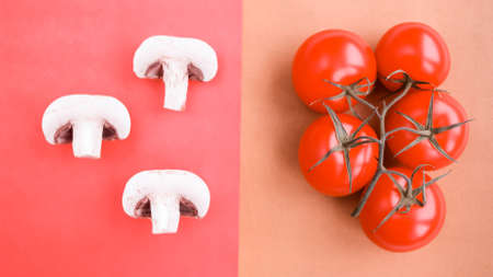 Background of natural products: vegetables, mushrooms and herbs.の写真素材