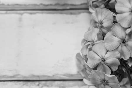 Flowers on a wooden tableの写真素材