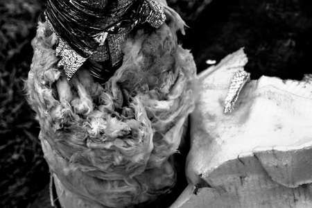 The texture of the metal doors in the garage black and white posterの写真素材