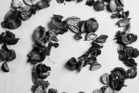 The frame of dried flowers. Decorated with dried flowers. Vase pの写真素材