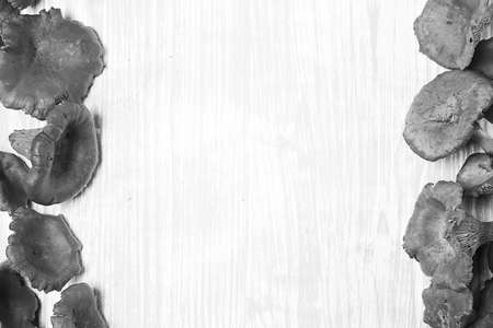 mushrooms are on the table. mushrooms are on the table. Mushroomの写真素材