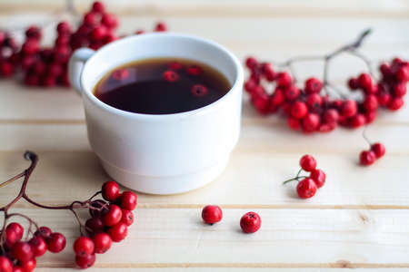 Tea and treats for a holiday home. I drink nuts and berries. Sprの写真素材