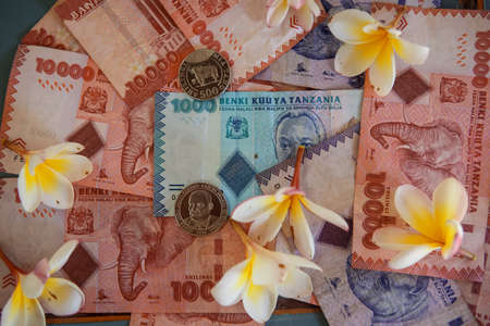 Little flowers for decoration and smell. Tropical flowersの写真素材