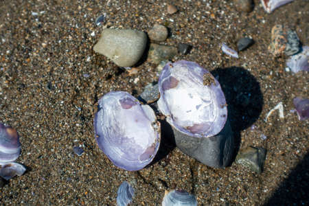 Close-up of a group of purple gemstones on the beach.