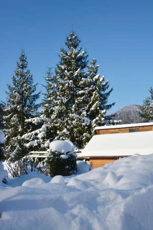 snowのeditorial素材