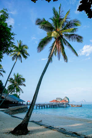 beachの写真素材