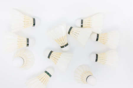 group of Shuttlecock
