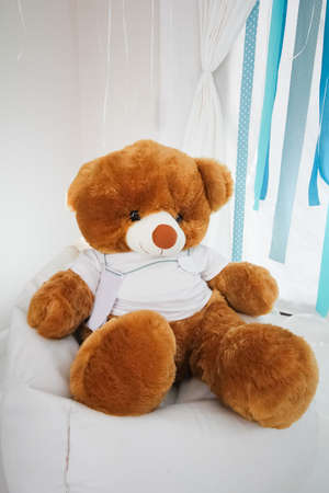 teddy bear sit on red sofa