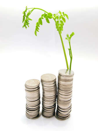 Growing business money concept coins and plant, isolated on white backgroundの写真素材