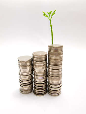 Growing business money concept coins and plant, isolated on white backgroundの写真素材