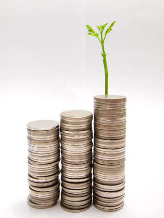 Growing business money concept coins and plant, isolated on white backgroundの写真素材