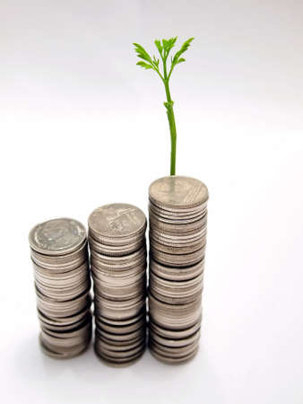Growing business money concept coins and plant, isolated on white backgroundの写真素材