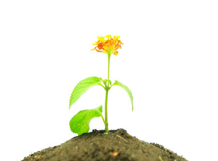 New lifeの写真素材