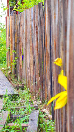 wooden fenceの写真素材