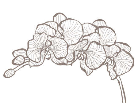 Abstract floral backgroundのイラスト素材