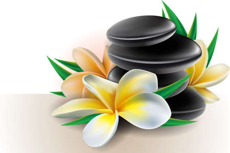 Spa concept zen stones with frangipani flowersのイラスト素材