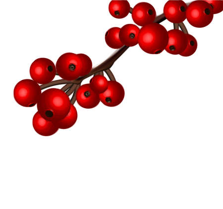 Redcurrant branch isolated over whiteのイラスト素材