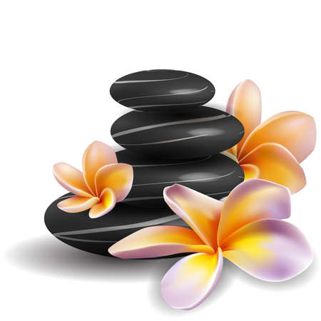Spa concept zen stones and frangipani flowersのイラスト素材